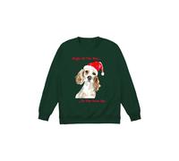 Little Mistress Jingle All The Way Jumper In Green Green S