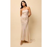 Little Mistress Women's Nude Mesh Train Embellished Maxi Dress | Size: 14 Little Mistress Nude 14