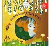 Little Nature Stories: Good Morning, Little Hare