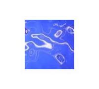 LITTLE NEMO - Turquoise Fields