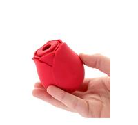Little Nooks Rechargeable Suction Vibrator Rose Sex Toy In Red Red
