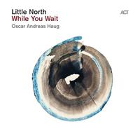 LITTLE NORTH - WHILE YOU WAIT - CD ALBUM - J123z