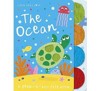 Little Ones Love the Ocean (Little Ones Love Felt Tabbed Board Book)