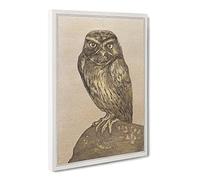 Little Owl By Theo Van Hoytema Canvas Print | Gallery Wrapped 30mm Frame Wall Art | 20x14 inches | Ready to Hang | Classic Animals Picture | Living Room Bedroom Lounge Office