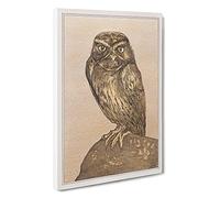 Little Owl By Theo Van Hoytema Canvas Print | Gallery Wrapped 30mm Frame Wall Art | 30x20 inches | Ready to Hang | Classic Animals Picture | Living Room Bedroom Lounge Office