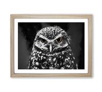 Little Owl In Abstract Modern Art Framed Wall Art Print, Ready to Hang Picture for Living Room Bedroom Home Office Décor, Oak A2 (64 x 46 cm)