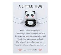 Little Panda Hug Gift - Mini Animal Pocket Keepsake Ornament for Friends, Lovers, Birthday, Valentines