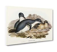 Little Penguins By Elizabeth Gould Canvas Print | Gallery Wrapped 30mm Frame Wall Art | 24x16 inches | Ready to Hang | Retro Bird Picture | Living Room Bedroom Lounge Office