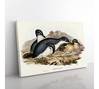Little Penguins By Elizabeth Gould Vintage Canvas Wall Art Print Ready to Hang, Framed Picture for Living Room Bedroom Home Office Décor, 60x40 cm (24x16 Inch)