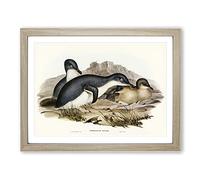 Little Penguins By Elizabeth Gould Vintage Framed Wall Art Print, Ready to Hang Picture for Living Room Bedroom Home Office Décor, Oak A4 (34 x 25 cm)