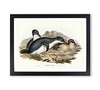 Little Penguins By Elizabeth Gould Vintage Framed Wall Art Print, Ready to Hang Picture for Living Room Bedroom Home Office Décor, Black A2 (64 x 46 cm)