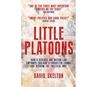 Little Platoons: How a revived One Nation can empower England's forgotten towns and redraw the political map