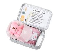 Little Pocket Bear Hug in a Box, Love Bear Dolls Plush Toy with Tin Box and Sleeping Bag, Soft Stuffed Animal Doll as Positivity Gifts for Kids Women Friend, Festival Presents (Pink)