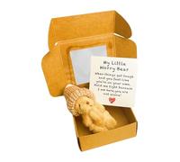 Little Pocket Bear Hug in a Box, Mini Worry Bear Plush Pocket Hug with Thinking of You Card Tiny Teddy Anxiety Gift for Friends, Women & Kids, Cute Stress Relief Gift (Brown)
