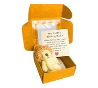 Little Pocket Bear Hug in a Box, Mini Worry Bear Plush Pocket Hug with Thinking of You Card Tiny Teddy Anxiety Gift for Friends, Women & Kids, Cute Stress Relief Gift (White)
