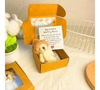 Little Pocket Bear Hug in a Box,Pocket Bear Hug in a Box,Handmade Mini Plush Teddy,Fun Give,for Friends Family Graduation (White)