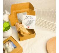Little Pocket Bear Hug in a Box,Pocket Bear Hug in a Box,Handmade Mini Plush Teddy,Fun Give,for Friends Family Graduation (Brown)