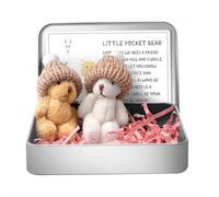 Little Pocket Bear Hug in a Tin Box, Mini Plush Bears with Inspirational Card, Handmade Small Plush Bears in Box Gifts, for Friends Women Men Birthday Christmas