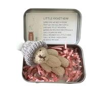 Little Pocket Bear Hug in a Tin Box, Worry Bear Hug in a Box Mini Plush Bears Set with Mini Plush Bears, Inspirational Card in Metal Tin Gift Boxes, for Stress Relief, Kids,Teens (Khaki)