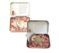 Little Pocket Bear Hug in a Tin Box, Worry Bear Hug in a Box Mini Plush Bears Set with Mini Plush Bears, Inspirational Card in Metal Tin Gift Boxes, for Stress Relief, Kids,Teens (Khaki and White)