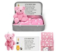 Little Pocket Bear Hug in A Tin,Plush Doll Keychain Positivity Gifts,Thinking of You Gifts for Women, Pinkteddy Bear Get Well Soon Gifts for Kids