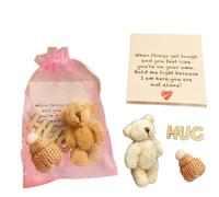 Little Pocket Bear Hug,Inspirational Bear Hug Gifts with Greeting Cards,Baby Shower Mini Plush Bears Bulk,Cute Stuffed Animals Bulk for Christmas Party Favors Stocking Suffers