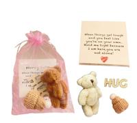 Little Pocket Bear Hug,Inspirational Bear Hug Gifts with Greeting Cards,Baby Shower Mini Plush Bears Bulk,Cute Stuffed Animals Bulk for Christmas Party Favors Stocking Suffers