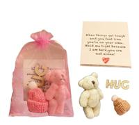 Little Pocket Bear Hug,Inspirational Bear Hug Gifts with Greeting Cards,Baby Shower Mini Plush Bears Bulk,Cute Stuffed Animals Bulk for Christmas Party Favors Stocking Suffers