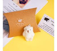 Little Pocket Bear Hug, Mini Animal Decoration - Sending You a Hug, Encourage Gift for Friends, Lovers, Birthday, Wedding