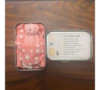 Little Pocket Bear Hug: Mini Bear in a Tin Box. A plush toy stuffed bear, cute doll decoration Great Christmas, birthday, Graduation gifts for women, friends; Get-well-soon gifts for kids. (Pink)