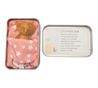 Little Pocket Bear Hug:Mini Bear in a Tin Box.A plush toy stuffed bear, cute doll decoration key chain.Great Christmas, birthday,gifts for women, friends;Get-well-soon gifts for kids. (Blue-Coffee)