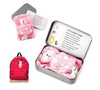 Little Pocket Bear Hug, Mini Teddy Bear in a Tin Box Plush Toy Stuffed Animal Bear Cute Doll Decoration Key Chain Hug Love Token Christmas Birthday Graduation Gifts for Children Women Friend (Pink)