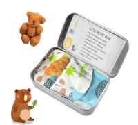 Little Pocket Bear, Teddy in Tin Box with Heart-Warming Cards and Quilts - Mini Stuffed Worry Bear Plush Gift for Kids