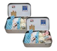 Little Pocket Bunny - Mini Plush Bunny in a Tin Box, Rabbit Hugs in Box, DIY Pet Rabbit Adoption, Easter Basket Stuffer & Decorative Boxs with Personalised Mini Plush House (2pcs,Blue)