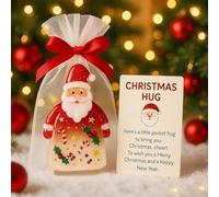 Little Pocket Christmas Hug, 2026 New Cute Santa Claus Ornaments with Encouragement Card, Emotional Grief Support Christmas Keepsake for Friends, Family, Christma Party Favor Gift(1PC)