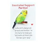 Little Pocket Hug Bulk Mini Resin Animal Pocket Hug Card, with Inspirational Parrot Pos Positive Card, Hug Pocket Owl Oriole
