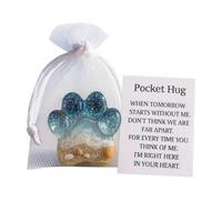 Little Pocket Hug Resin Animal Shell Token with Inspirational Card Exchange Small Cards Support Emotional for
