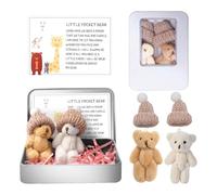 Little Pocket Worry Bear in Box with a Hat, Adorable Handmade Mini Emotional Plush Positive Support Bears with Encouraging Card Cute Inspirational Gifts, Emotional Support & Inspirational Gift (1 Set)