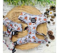 Little Pumpkin Bear Cub Pet Pooch Boutique Dog Harness (Ideal for Small Dogs) XS-L (Medium)