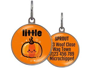 Little Pumpkin Dog Tag - Halloween Pet ID Tag - Custom Info on Back - Autumn Orange Style Design - 2 Sizes for Dogs & Cats - Lightweight Metal - Cute Halloween Collar Tags