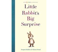 Little Rabbit's Big Surprise: (Colour Fiction)
