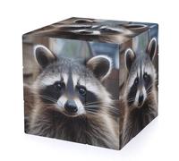 Little Raccoon Face Magic Cube,The Original 3x3 Cube,Speed Cube Problem-Solving Brain Teaser,Easy Turning Sensory Puzzle Toy,Sensory Stress Relief Form Fidget Toys