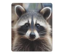 Little Raccoon Face Mouse Pad Thin Mouse Mat 12.44
