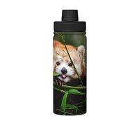 Little Red Panda 18oz Insulated Water Bottle Sports Insulated Kettle Great for Work Gym Sport Travel