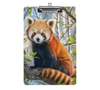 Little Red Panda Clipboard 8.5×12.5 Inch Acrylic Clip Board with Metal Clip A4 Letter Size Decorative Clipboard Cute Hanging Clipboards for Office, Teacher, Nurse, Doctor,