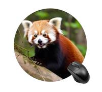 Little Red Panda Gaming Mouse Pad Funny Mousepad with Non-Slip Rubber Base Cute Mouse Pads for Desk for Women Small Portable Mouse Mat for Laptop Mini Computer Mousepads 7.8x7.8 Inches