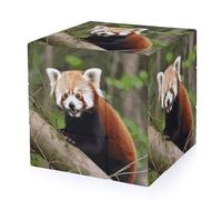 Little Red Panda Magic Cube,The Original 3x3 Cube,Speed Cube Problem-Solving Brain Teaser,Easy Turning Sensory Puzzle Toy,Sensory Stress Relief Form Fidget Toys