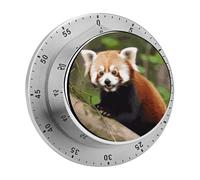 Little Red Panda Mechanical Kitchen Timer for Cooking 60 Min with Magnetic Backing Loud Alarm,Stainless Steel Wind Up Countdown Timer Cute Egg Timers for Cooking Studying Gaming Classroom Office Gym