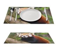 Little Red Panda Placemat, 1 PCS PVC Placemats Washable Non-Slip Place Mats for Dining Table, Wipeable Table Mat for Party Kitchen Dining Decor