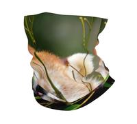 Little Red Panda Print Neck Warmer Gaiter Women Men, Windproof Face Cover Face Mask Scarf For Cold Weather Sport